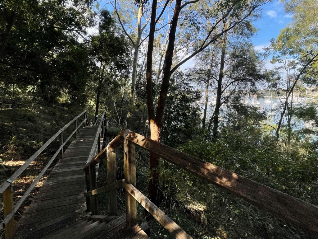 Wooden walkway through the Balmain foreshore bushland