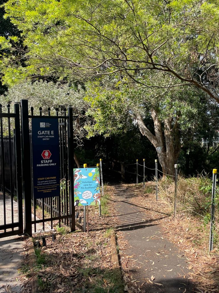 Entry to the Balmain foreshore bushland