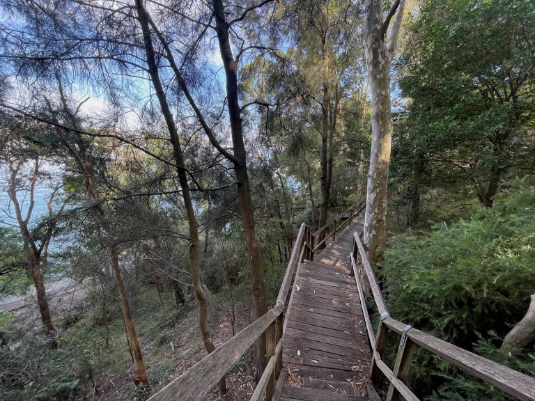 The wooden walkway through the bushland on Balmain foreshore near Sydney Secondary College