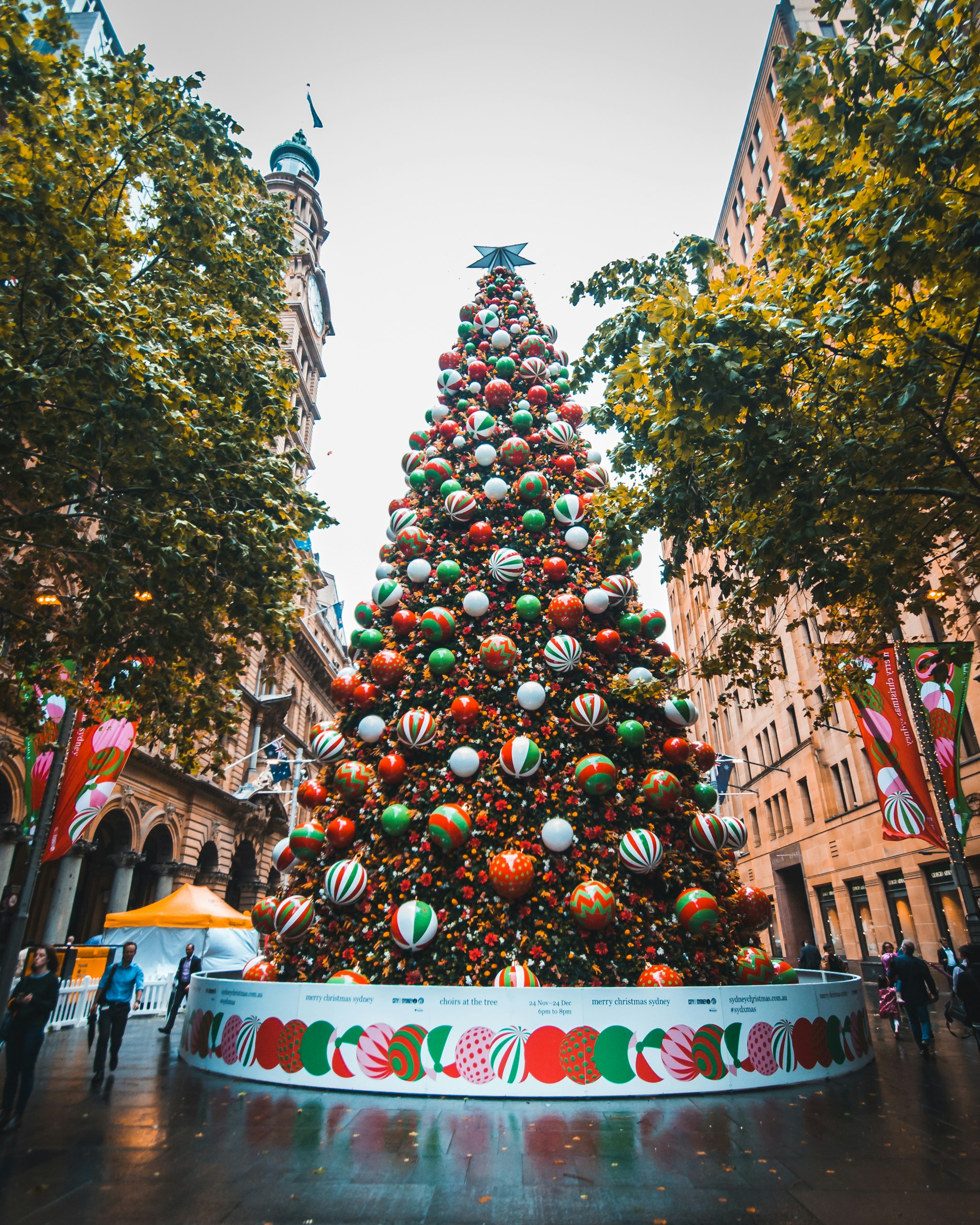 martin place christmas tree