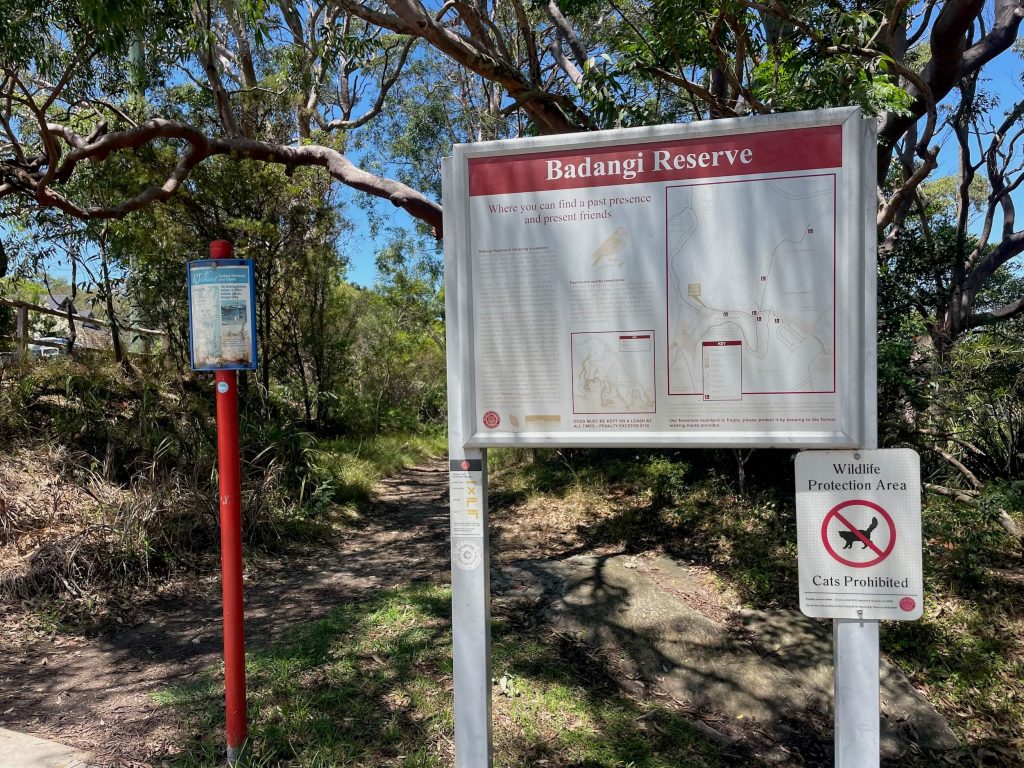 Badangi Reserve at Wollstonecraft