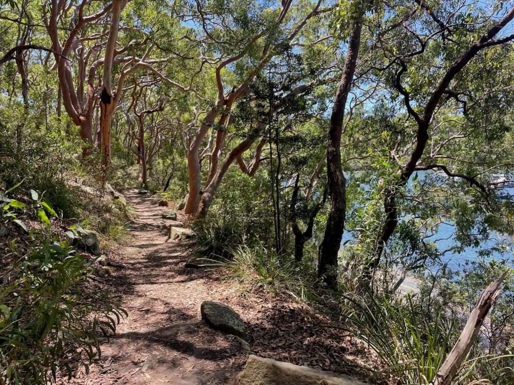 Walking track along the harbour at Berry Island Reserve
