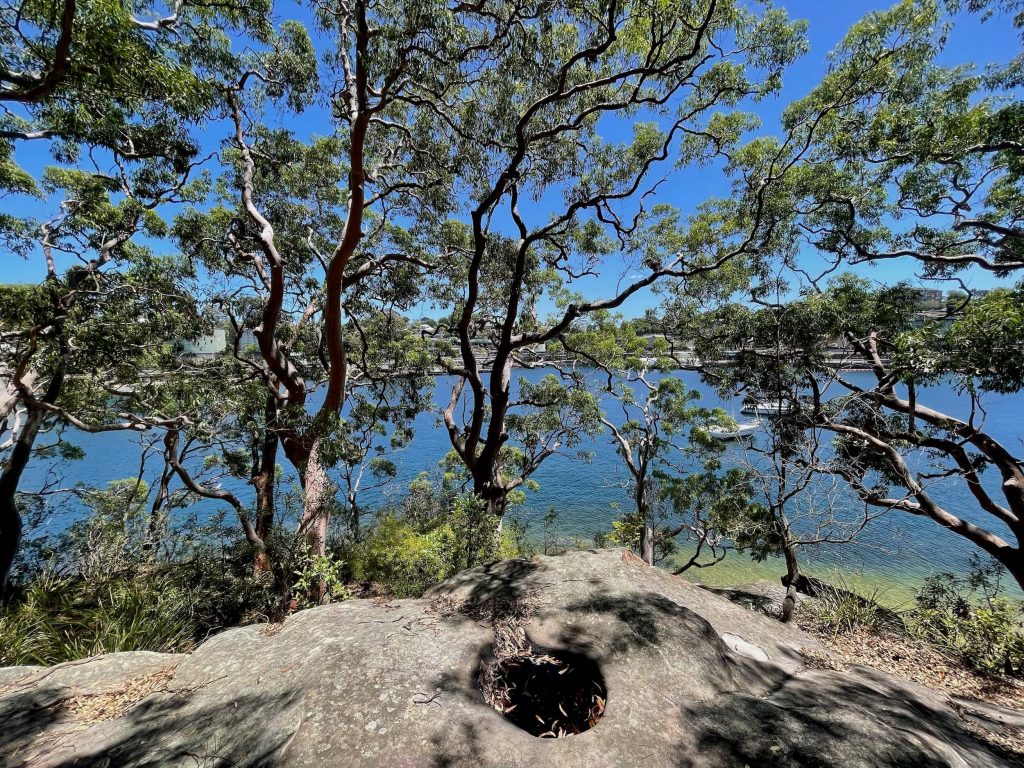 Engravings at Berry Island Reserve