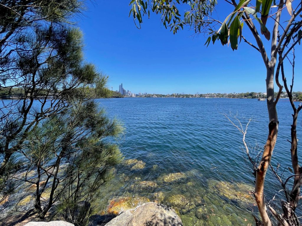 Sydney Harbour view from Berry Island Reserve