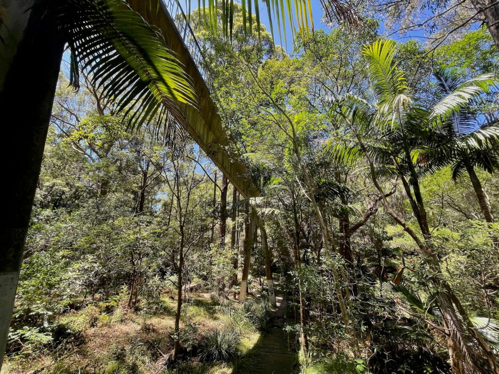 View from under Beencke