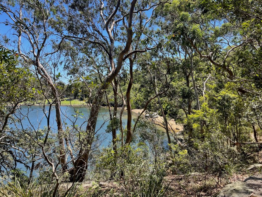 View towards Berry Island Reserve