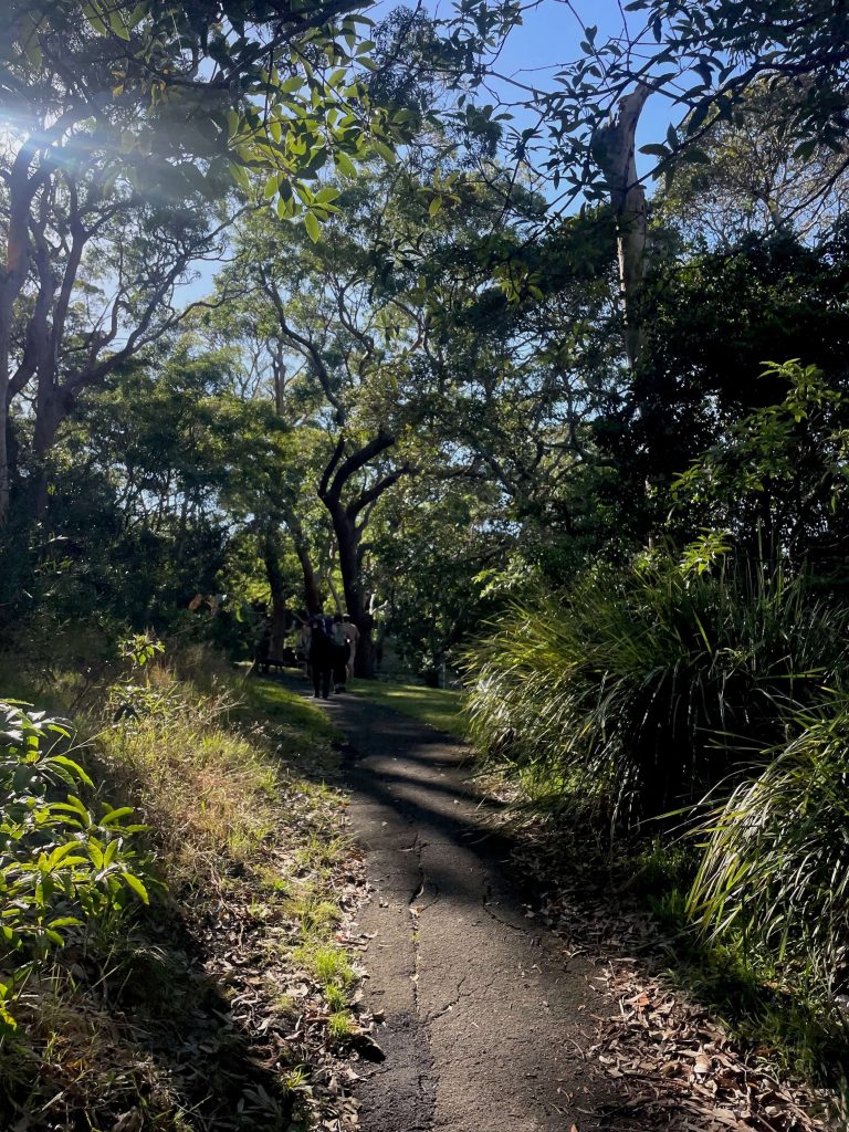Jibbon Track in Royal National Park Bundeena Reserve