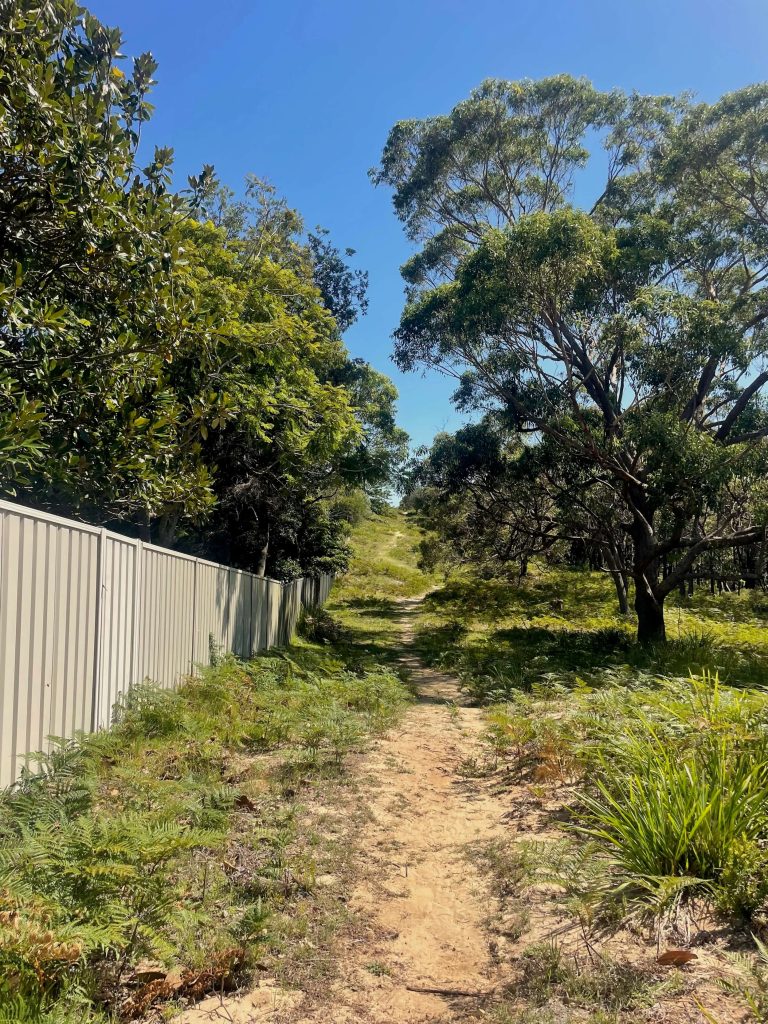Jibbon Track in Royal National Park Path along the edge of Royal National Park