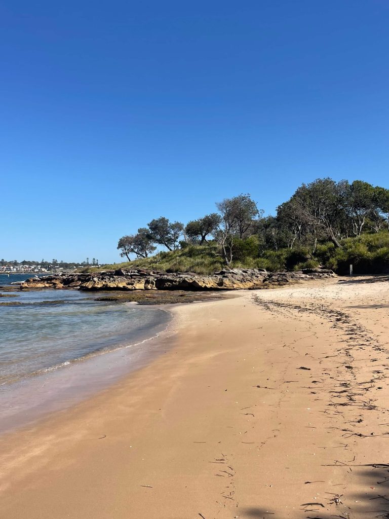 Jibbon Track in Royal National Park Jibbon Beach in Royal National Park