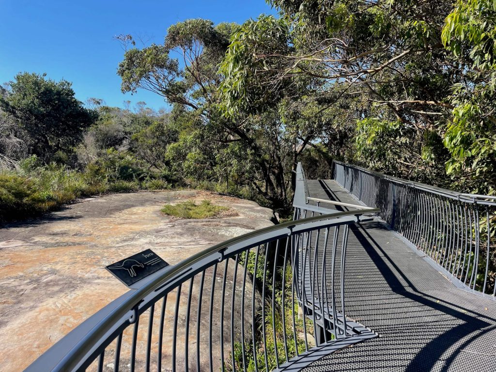 Jibbon Track in Royal National Park Elevated boardwalk at the Jibbon rock engravings in Royal National Park
