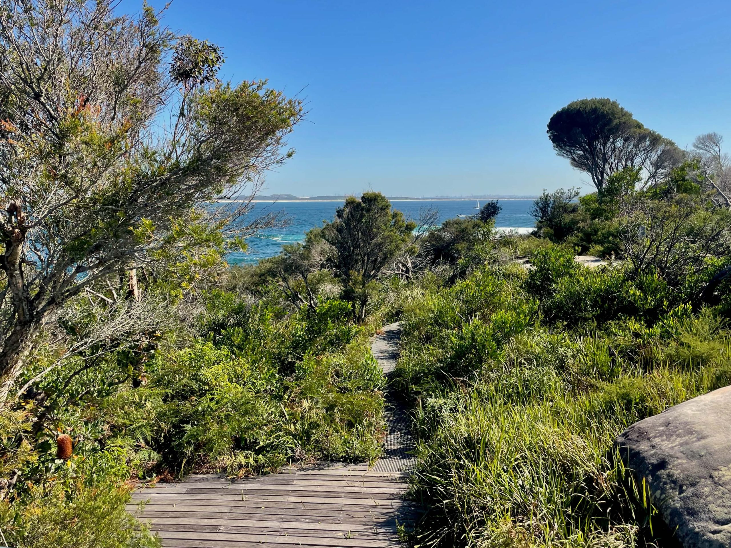 Jibbon Track in Royal National Park
