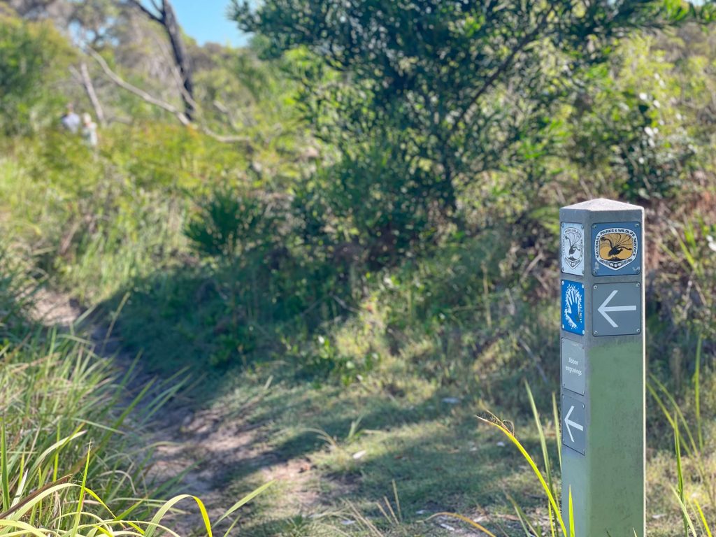 Jibbon Track in Royal National Park Tracking heading around to the Jibbon engravings