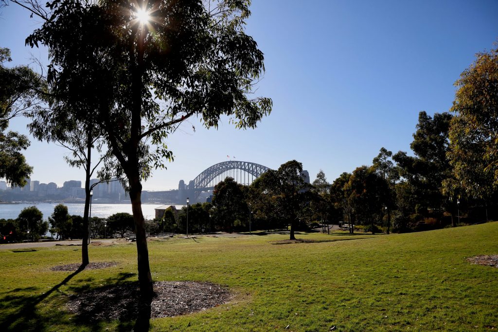The lawns overlooking the Sydney Harbour Bridge at Barangaroo Reserve