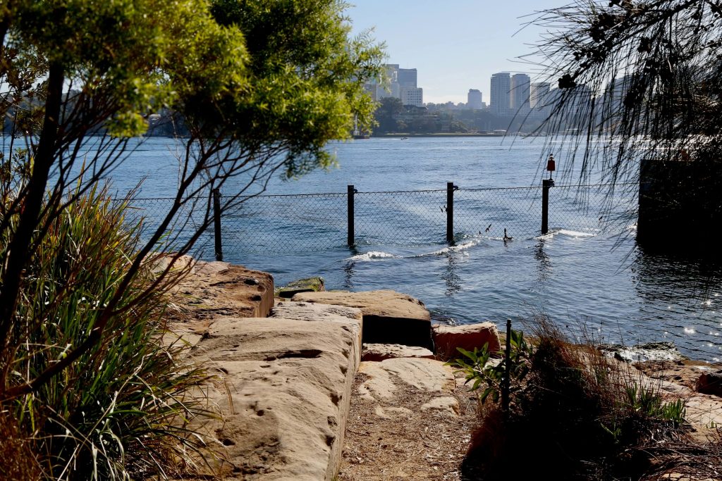 marrinawi cove barangaroo reserve