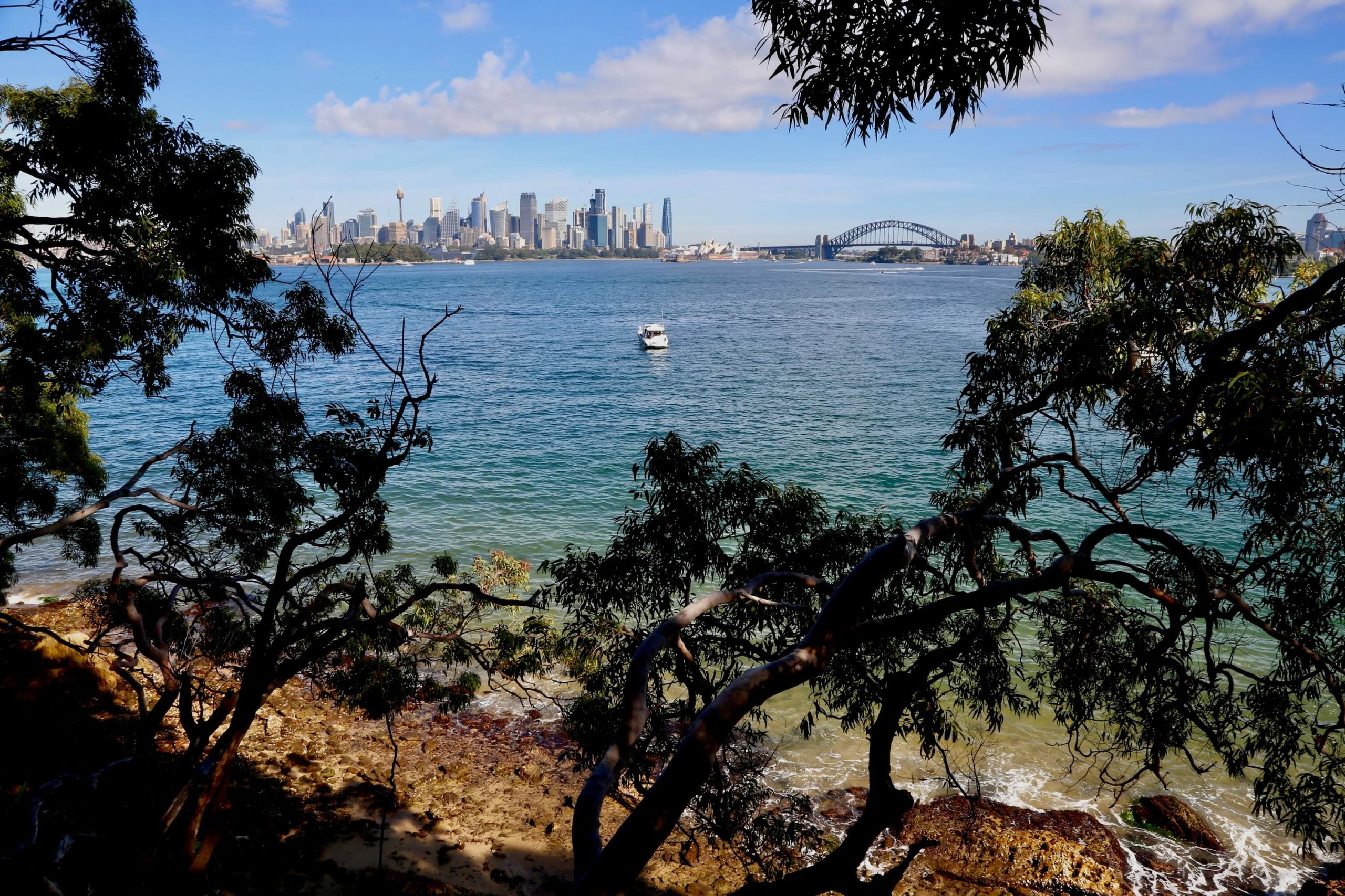 View of Sydney Harbour from the track between Taronga Zoo and Bradleys Head