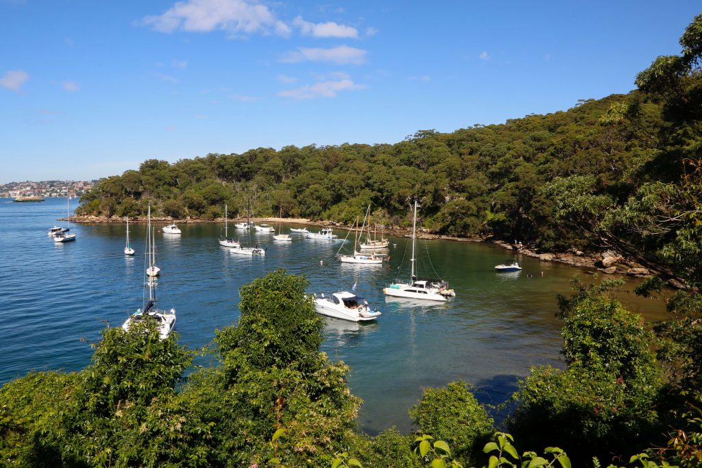 Taylors Bay on Sydney Harbour