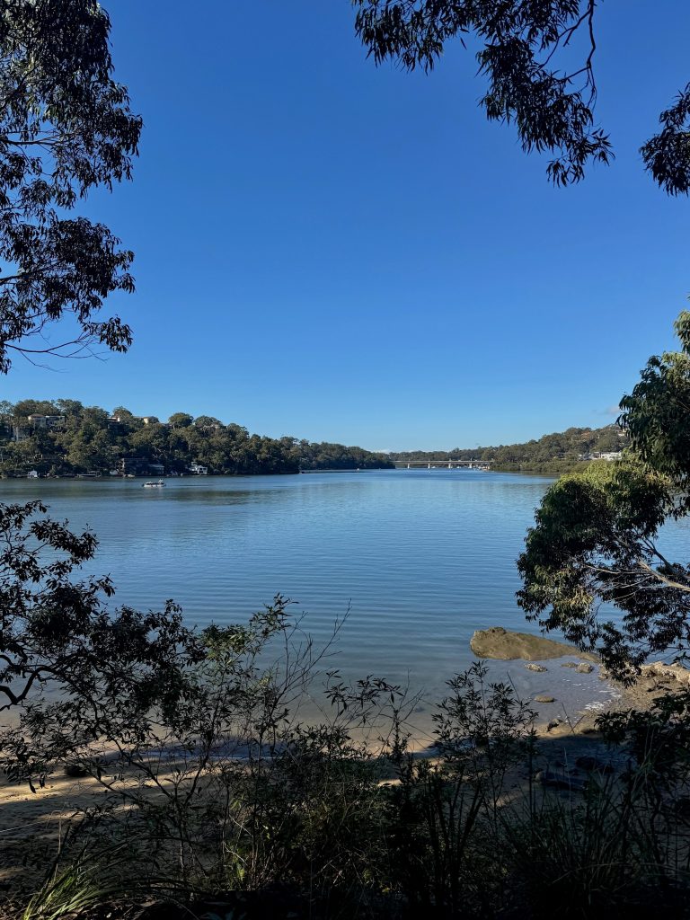 View from Oatley Park Baths