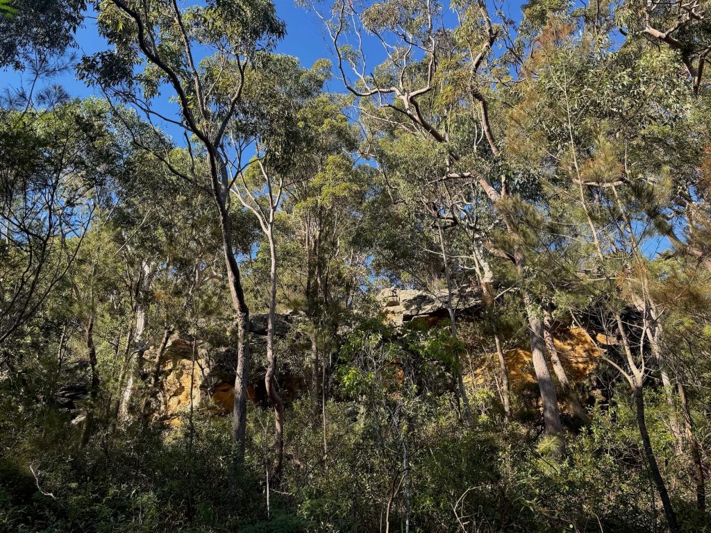 View from the Headland Track in Oatley Park