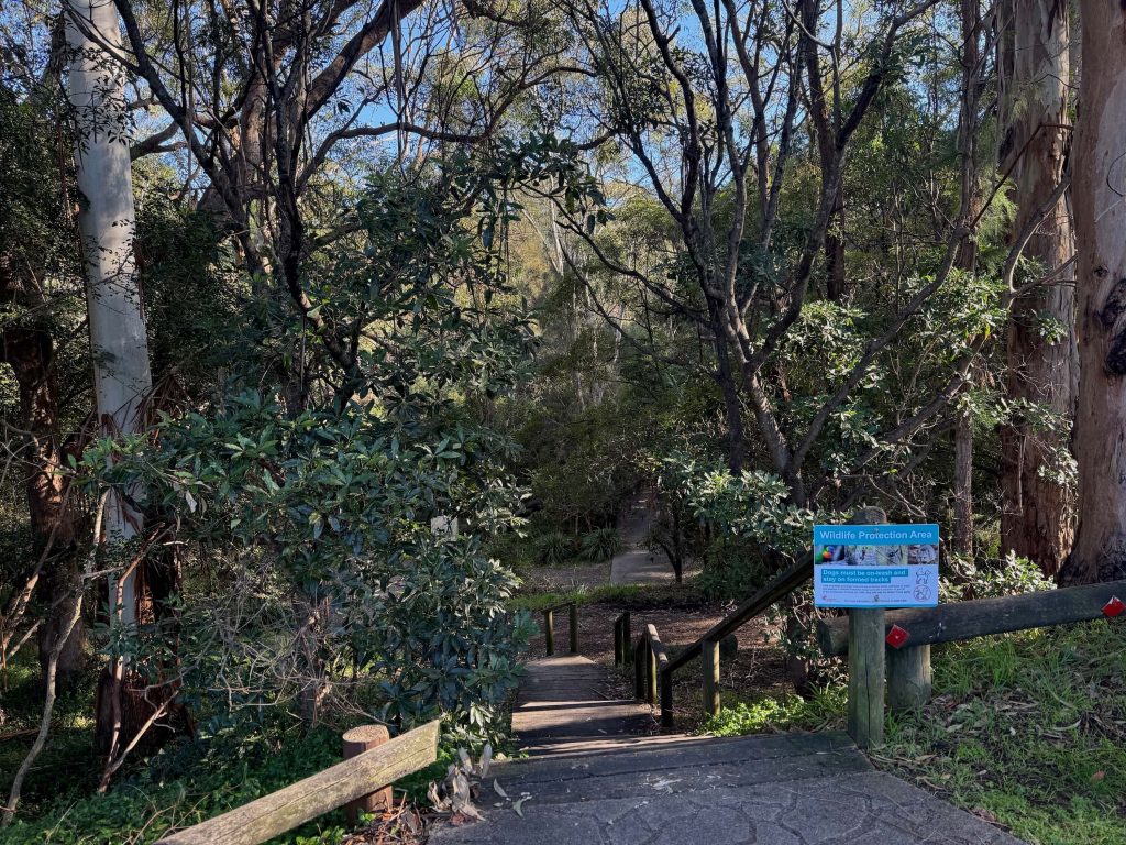 Start of the Lime Kiln Bay and Oatley Park loop walk at Waterfall Drive