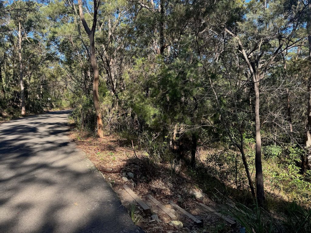Take the steps down toward the water to continue your walk on the Lime Kiln Bay & Oatley Park loop track