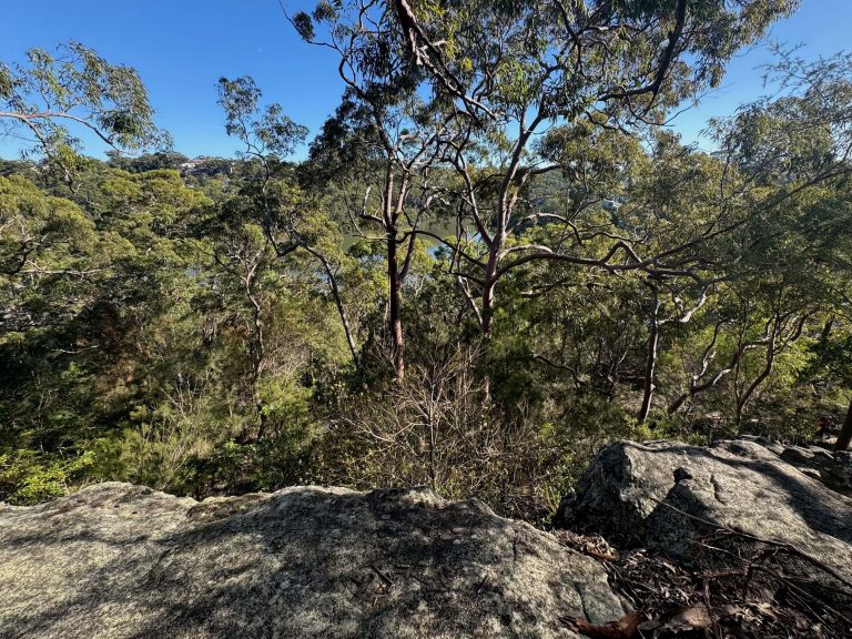 A filtered view of Lime Kiln Bay view from a walking track in Oatley Park