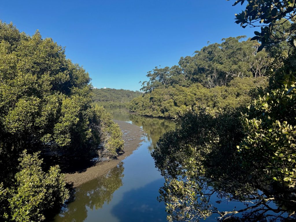 View from the pedestrian bridge at Lime Kiln Bay near Oatley Park