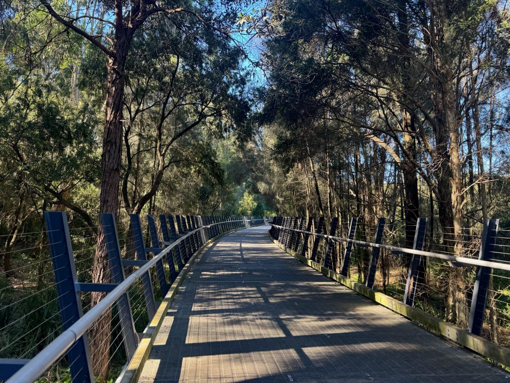 Parramatta River Trail: Parramatta to Meadowbank Baludarri Wetland Boardwalk at Parramatta