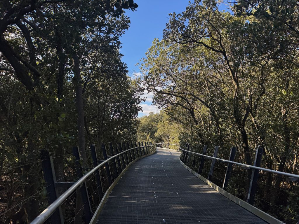 Parramatta River Trail: Parramatta to Meadowbank Ermington Bay Nature Pathway