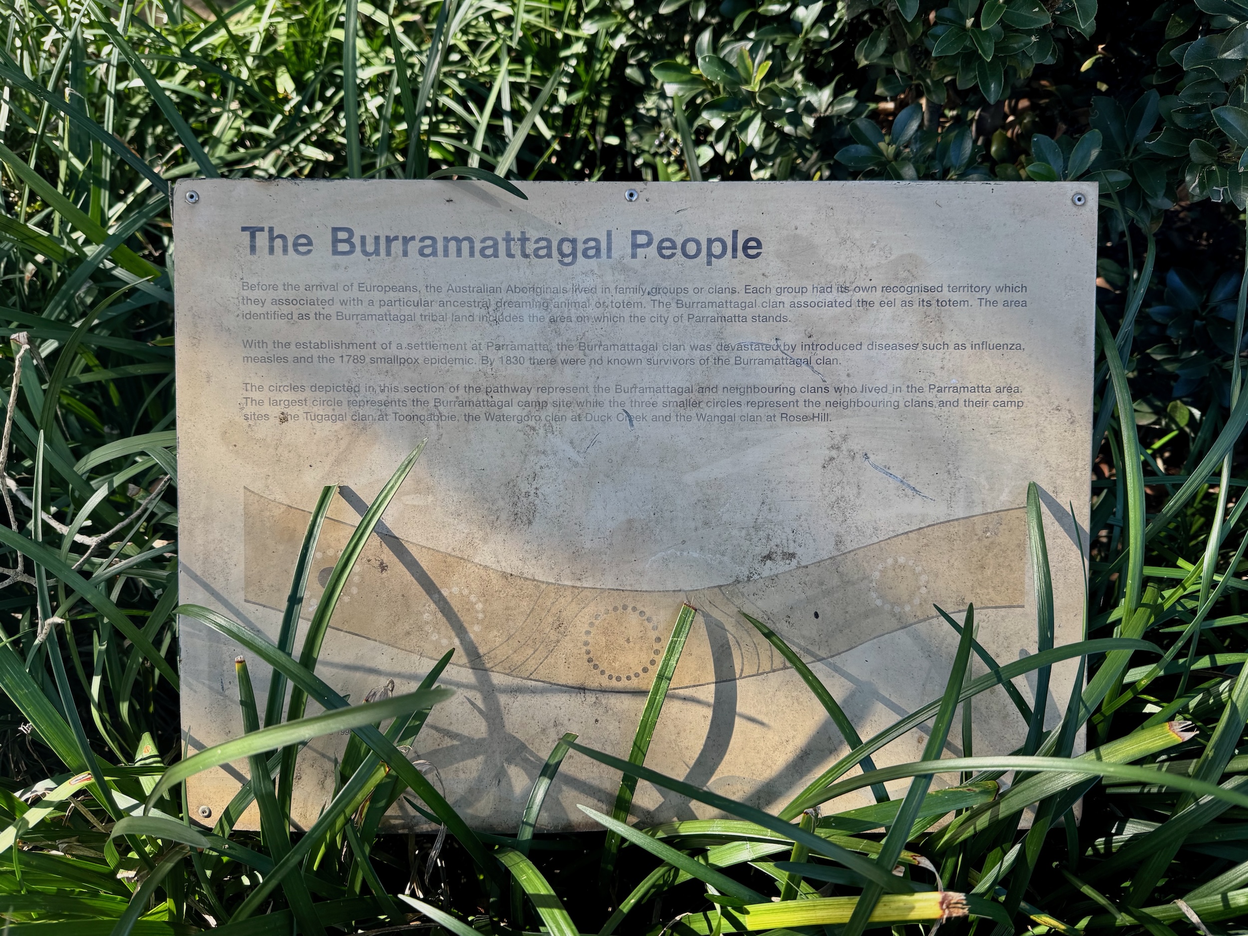 Parramatta River Trail: Parramatta to Meadowbank Parramatta River Trail art by Jamie Eastwood