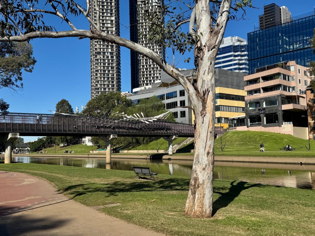 Parramatta River Trail: Parramatta to Meadowbank Riverside seating on the Parramatta River Trail