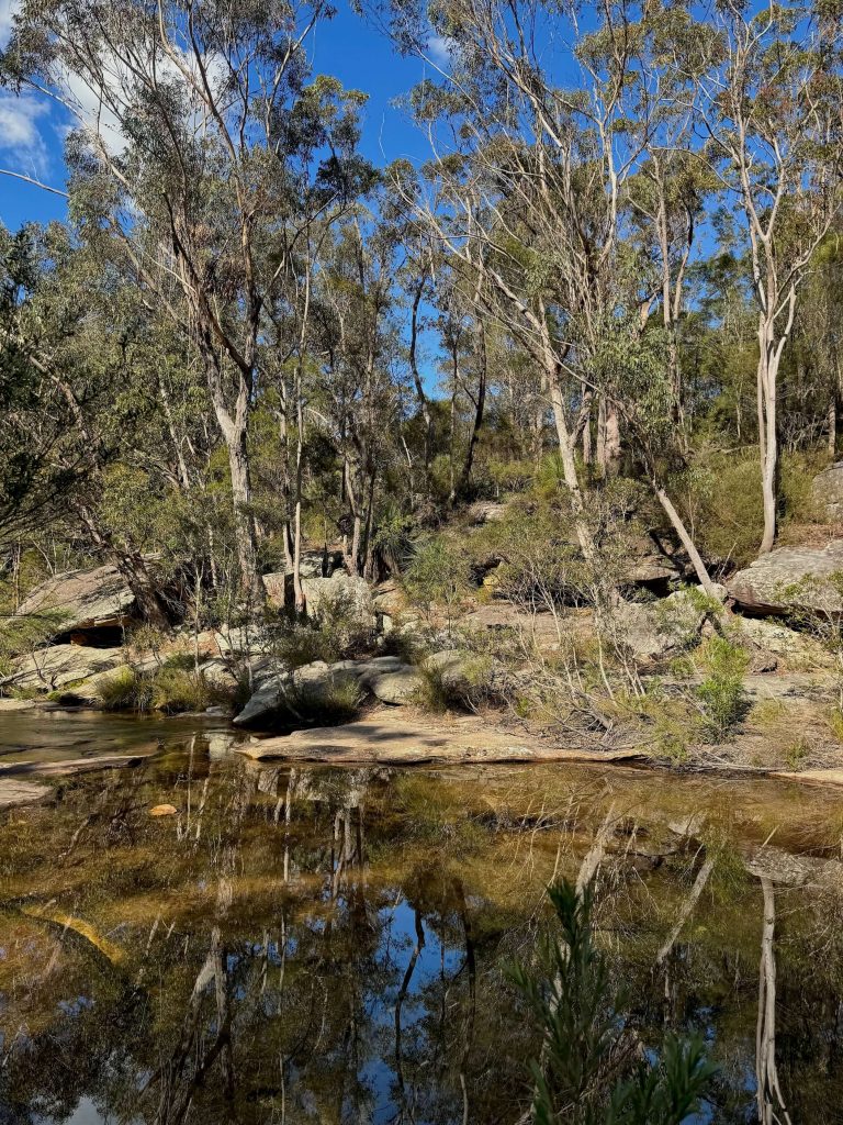 Karloo Pool and Uloola Falls Walk in Royal National Park Creek near Karloo Pool in Royal National Park