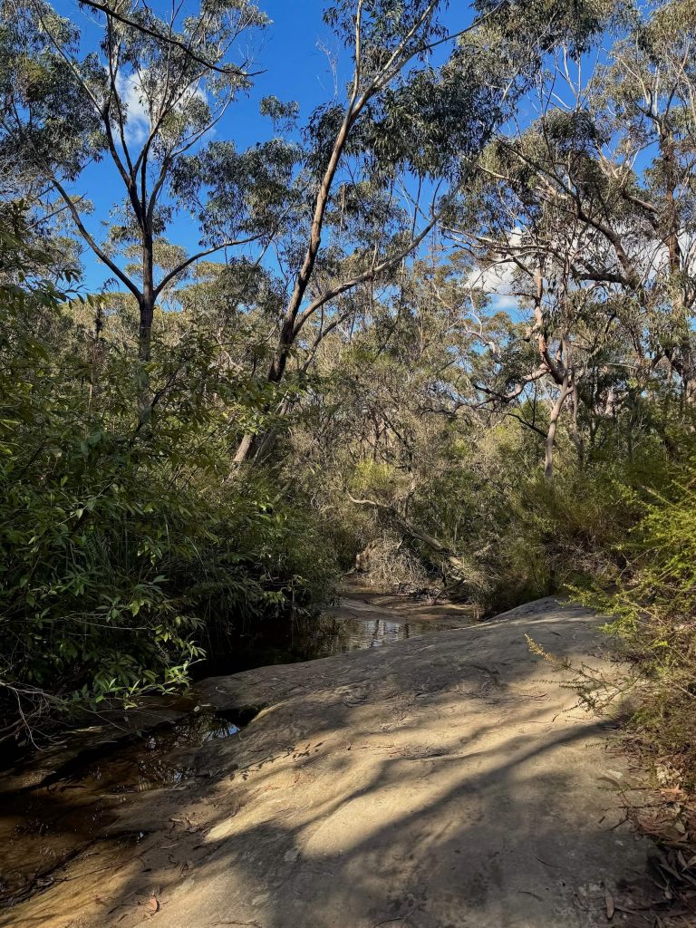 Karloo Pool and Uloola Falls Walk in Royal National Park Heathcote Brooke in Royal National Park