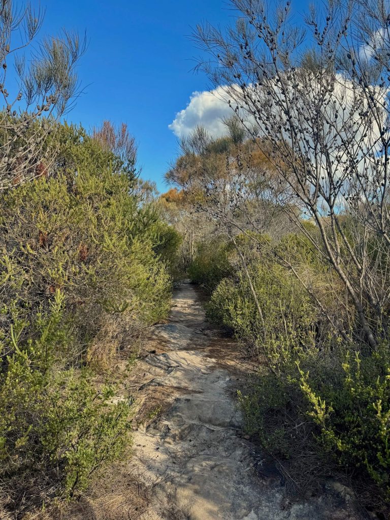 Karloo Pool and Uloola Falls Walk in Royal National Park Track between Karloo Pool to Uloola Falls