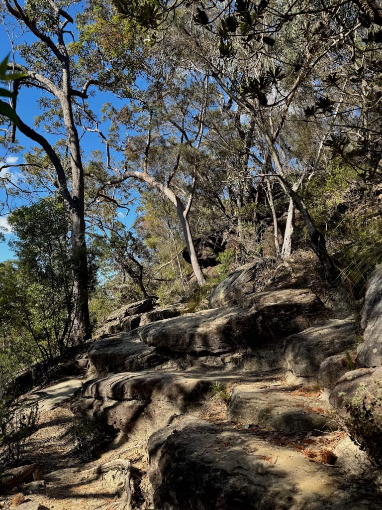 Karloo Pool and Uloola Falls Walk in Royal National Park Rocky track to Karloo Pool