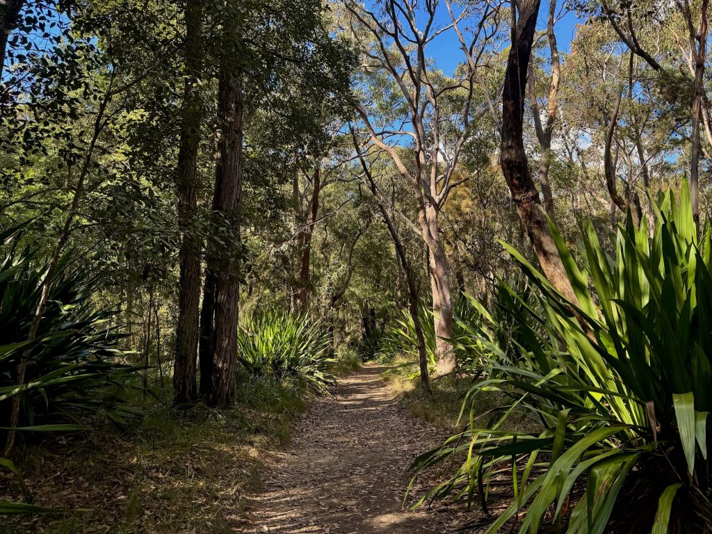 Karloo Pool and Uloola Falls Walk in Royal National Park Track from Heathcote to Karloo Pool