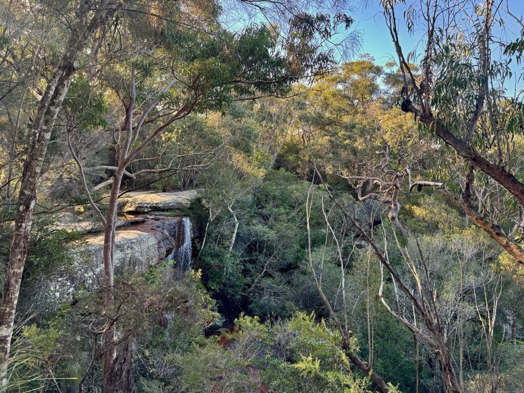Karloo Pool and Uloola Falls Walk in Royal National Park Uloola Falls in Royal National Park