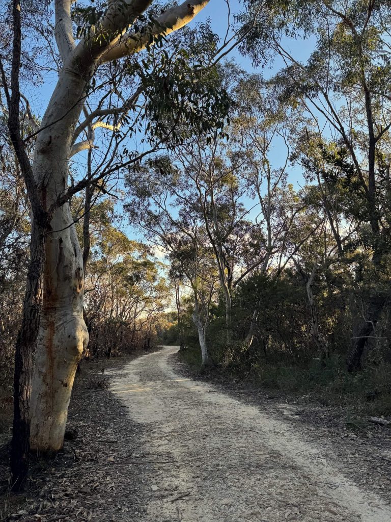 Karloo Pool and Uloola Falls Walk in Royal National Park Uloola fire trail